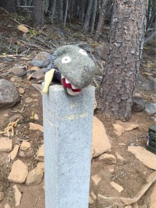 Jaws at the PCT midpoint